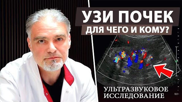 Зачем делать УЗИ почек и кому это необходимо? Зачем делать УЗИ почек и кому это необходимо?