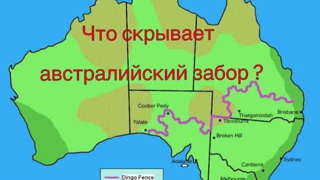Что скрывает австралийский забор ? Что скрывает австралийский забор ?