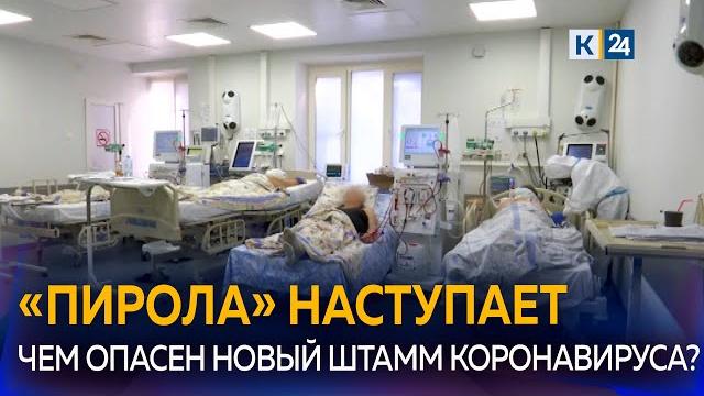 В России появился новый штамм коронавируса— «пирола» В России появился новый штамм коронавируса— «пирола»