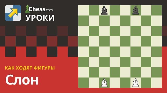 Как ходят фигуры: Слон Как ходят фигуры: Слон
