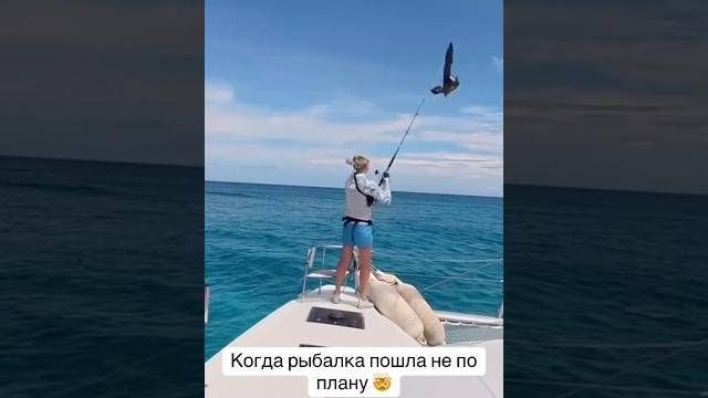 Отобрал налима у чайки, когда рыбачил на Оби #рек #рыбалка #рыба #налим #ямал #прикол #приколы Отобрал налима у чайки, когда рыбачил на Оби #рек #рыбалка #рыба #налим #ямал #прикол #приколы
