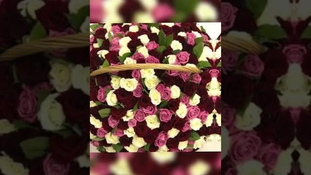 Всемирный день женского счастья! Всемирный день женского счастья!