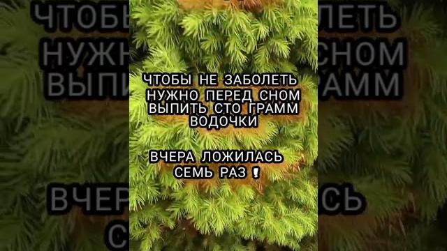 анекдот про чтобы не заболеть, смешные анекдоты #131, анекдот, шутки, юмор, приколы, лучшие анекдоты анекдот про чтобы не заболеть, смешные анекдоты #131, анекдот, шутки, юмор, приколы, лучшие анекдоты