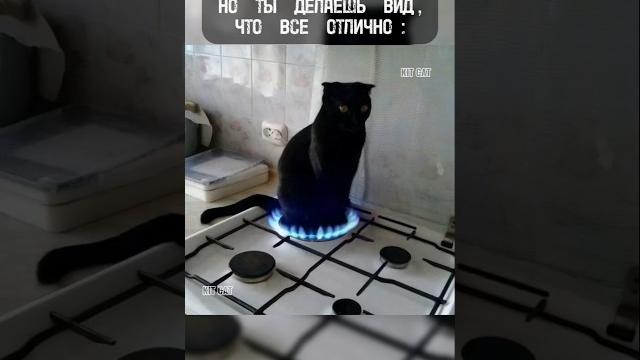 Когда все идёт не по плану / Кошка сидит на плитке / МЕМ #нейросеть #shorts #neonrussia #мем #мемы Когда все идёт не по плану / Кошка сидит на плитке / МЕМ #нейросеть #shorts #neonrussia #мем #мемы