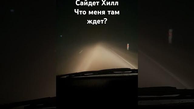 Ёжик в тумане Ёжик в тумане