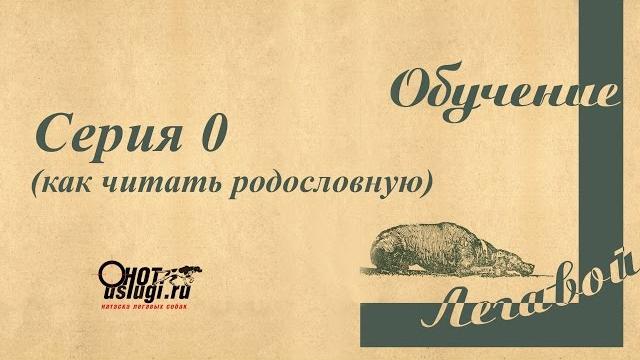 Выбор охотничьей собаки. Выбор охотничьей собаки.