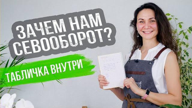 Что после чего сажать? + Таблица севооборота Что после чего сажать? + Таблица севооборота
