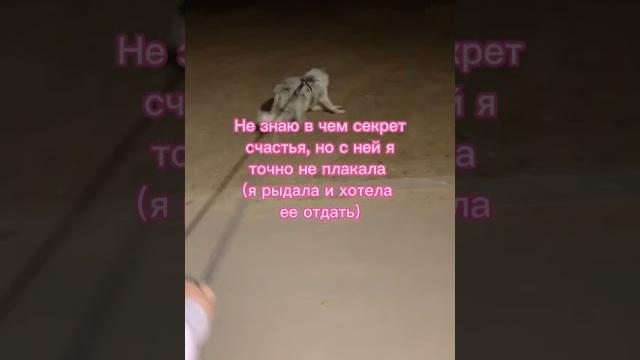 У меня возникало желание ударить мою собаку… У меня возникало желание ударить мою собаку…