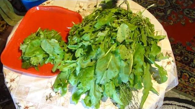 Как заготовить щавель на зиму (витамины)! How to prepare sorrel for the winter (vitamins)! Как заготовить щавель на зиму (витамины)! How to prepare sorrel for the winter (vitamins)!