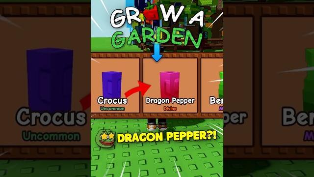 Opening 25 Crafters Seed Pack #roblox #growagarden Opening 25 Crafters Seed Pack #roblox #growagarden
