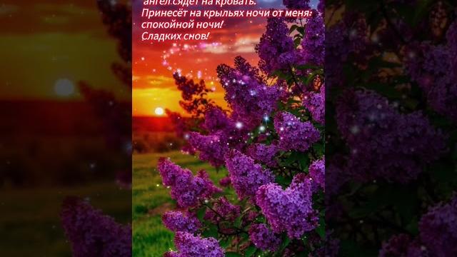 Добрый вечер хорошего вечера открытки на каждый день #открытка #добрый #видеооткрытка #добрыйвечер Добрый вечер хорошего вечера открытки на каждый день #открытка #добрый #видеооткрытка #добрыйвечер