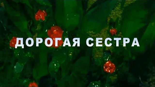 Поздравления С днем рождения Сестра Поздравления С днем рождения Сестра