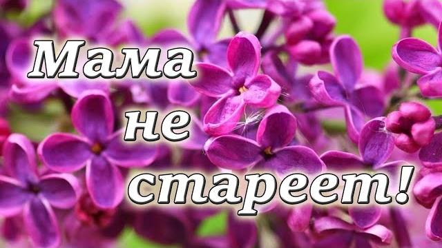 ОЧЕНЬ НЕЖНЫЙ СТИХ! Мамы не стареют! Ко Дню Матери! ОЧЕНЬ НЕЖНЫЙ СТИХ! Мамы не стареют! Ко Дню Матери!