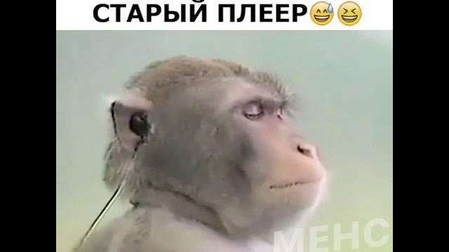 Когда нашёл свой старый плеер Когда нашёл свой старый плеер