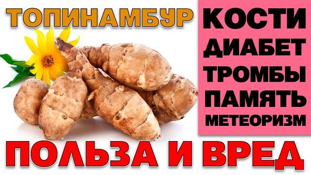 ТОПИНАМБУР - ПОЛЬЗА И ВРЕД (КОМУ ПОЛЕЗНА ЗЕМЛЯНАЯ ГРУША. УДИВИТЕЛЬНЫЕ СВОЙСТВА ТОПИНАМБУРА) ТОПИНАМБУР - ПОЛЬЗА И ВРЕД (КОМУ ПОЛЕЗНА ЗЕМЛЯНАЯ ГРУША. УДИВИТЕЛЬНЫЕ СВОЙСТВА ТОПИНАМБУРА)