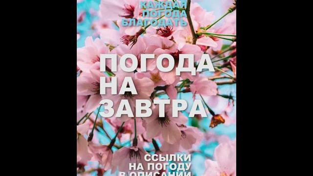Погода на завтра Погода на завтра