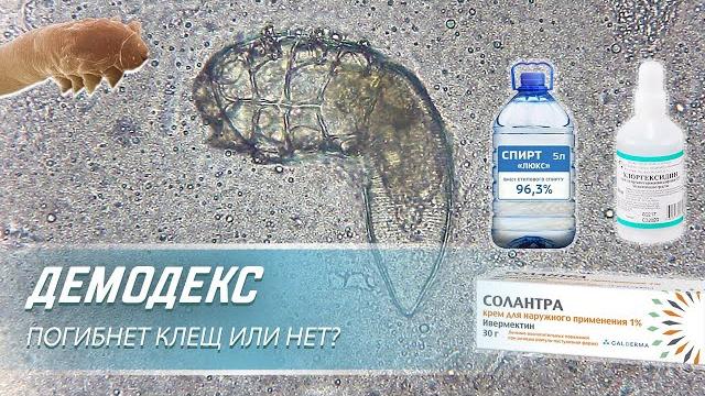 Клещ ДЕМОДЕКС против крема Солантра, спирта и Хлоргексидина| Угревая Железница Demodex Клещ ДЕМОДЕКС против крема Солантра, спирта и Хлоргексидина| Угревая Железница Demodex