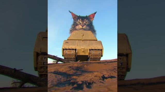 Вот и попалась мышка #миртанков #shorts Вот и попалась мышка #миртанков #shorts
