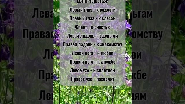 К чему что-то чешется. Народные приметы К чему что-то чешется. Народные приметы