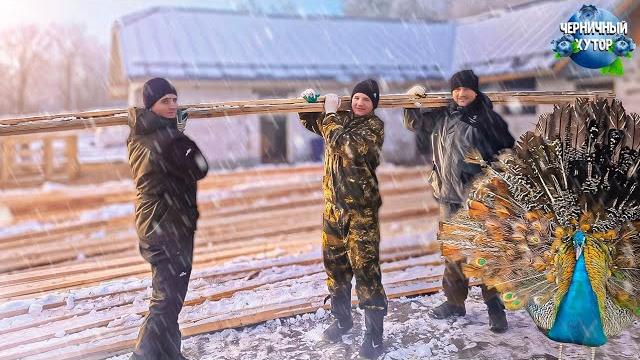 Жизнь людей и животных. Все планы реализованы, дом украшен и теперь можно встречать новый год. Жизнь людей и животных. Все планы реализованы, дом украшен и теперь можно встречать новый год.
