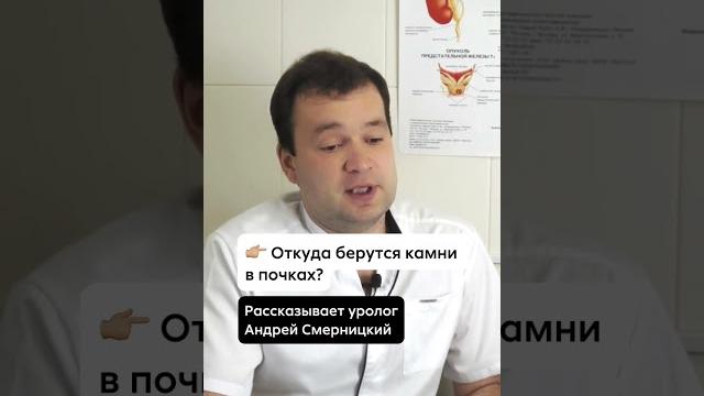 Откуда берутся камни в почках? Откуда берутся камни в почках?