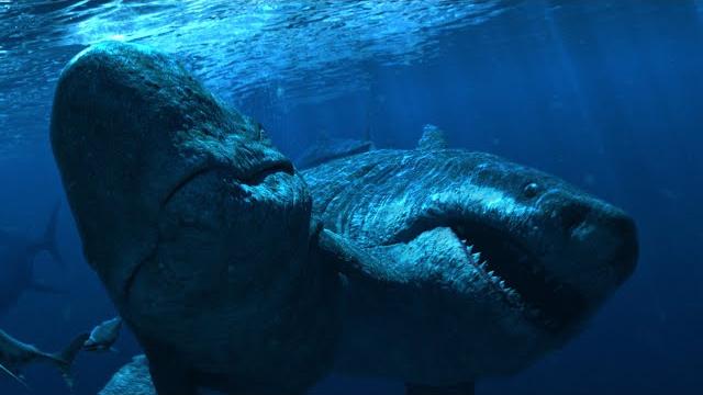 Megalodon The Revenge Megalodon The Revenge