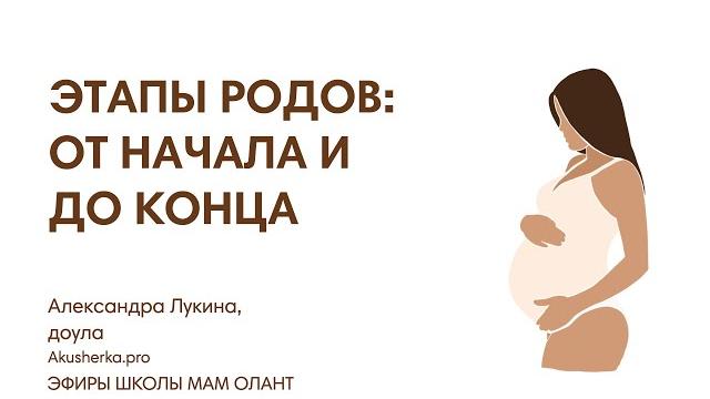 ЭТАПЫ РОДОВ: ОТ НАЧАЛА И ДО КОНЦА ЭТАПЫ РОДОВ: ОТ НАЧАЛА И ДО КОНЦА