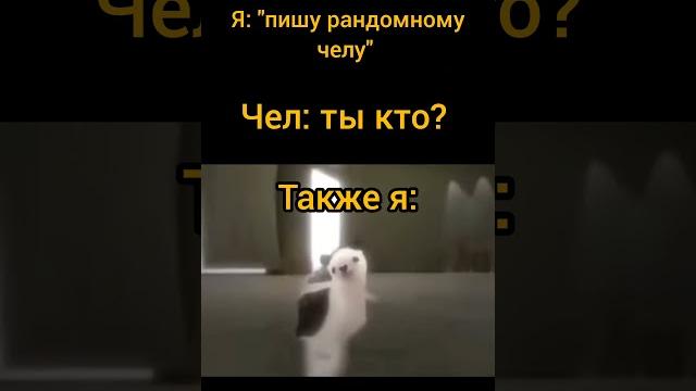 Я ёжик #мем #приколы #2025shorts #ёжик #жиза Я ёжик #мем #приколы #2025shorts #ёжик #жиза