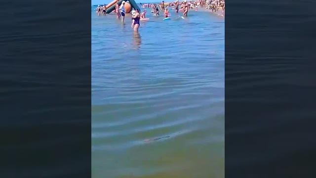 #Прикол#ржака#юморПогода на море #Прикол#ржака#юморПогода на море