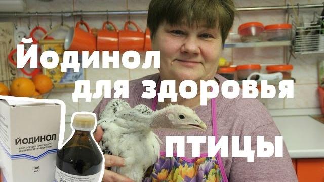 Йодинол! И Ваша птица будет здорова! Йодинол! И Ваша птица будет здорова!