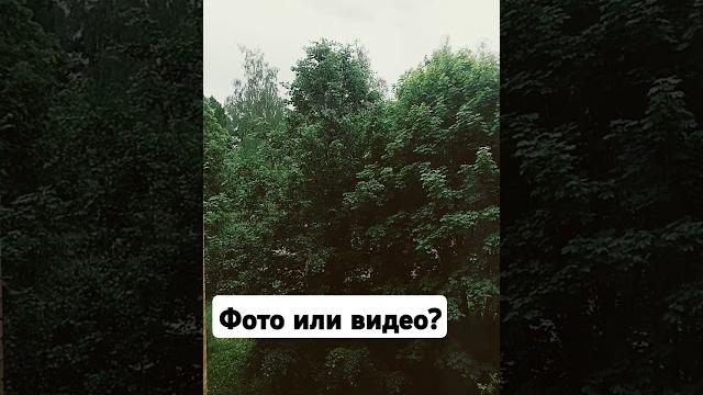 фото или видео? фото или видео?