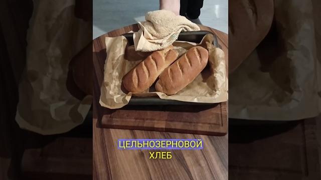 Полезно и вкусно Собака выполнит любую команду ради одного кусочка Готовим цельнозерновой хлеб Полезно и вкусно Собака выполнит любую команду ради одного кусочка Готовим цельнозерновой хлеб