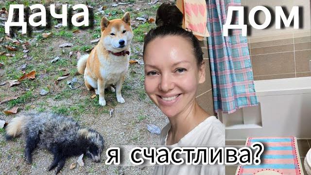 Тоёка охотник и новинки для ванной комнаты / KOREA VLOG Тоёка охотник и новинки для ванной комнаты / KOREA VLOG