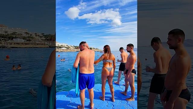 SHARKS in EGYPT attack tourists Where is it safe to swim⁉️ SHARKS in EGYPT attack tourists Where is it safe to swim⁉️