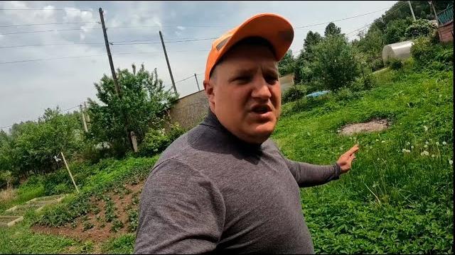 Вместо благоустройства начали выжигать все вокруг Вместо благоустройства начали выжигать все вокруг