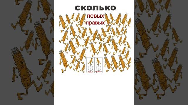 Сколько левых и правых Сколько левых и правых