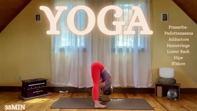 YOGA into Prasarita Padottanasana Grounding spine midline center legs hips lower back stretches YOGA into Prasarita Padottanasana Grounding spine midline center legs hips lower back stretches