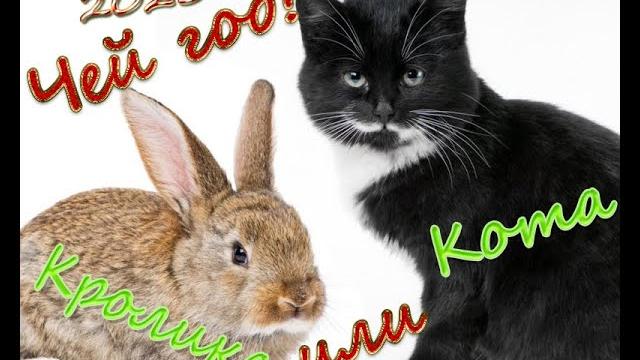 Год Кролика, Зайца или Кота? Как же правильно? Год Кролика, Зайца или Кота? Как же правильно?