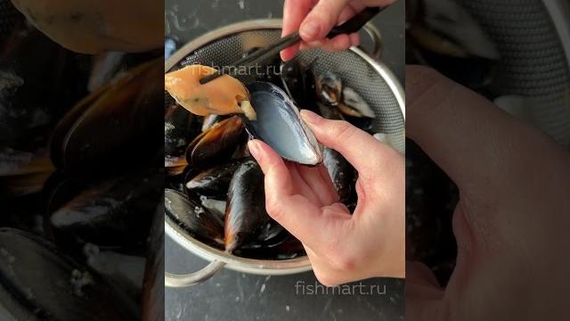 КАК ЕСТЬ МИДИИ КАК ЕСТЬ МИДИИ