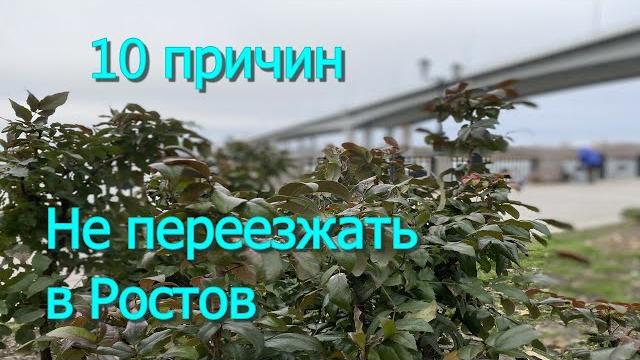 10 reasons not to move to Rostov-on-Don/Subjective view 10 reasons not to move to Rostov-on-Don/Subjective view