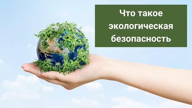 Что такое экологическая безопасность Что такое экологическая безопасность