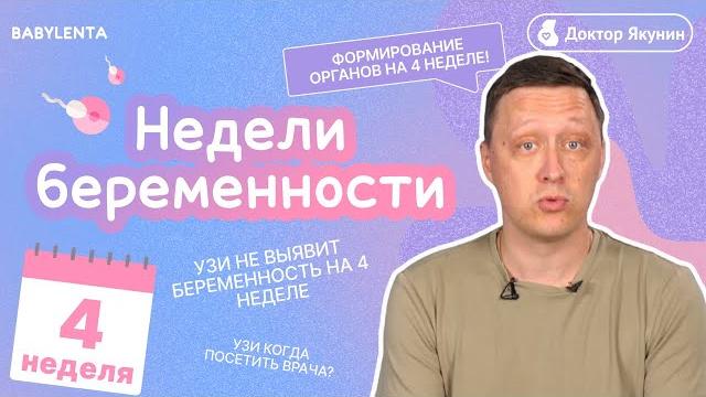 4 неделя беременности что происходит с плодом и что чувствует женщина, как выглядит ребенок, УЗИ 4 неделя беременности что происходит с плодом и что чувствует женщина, как выглядит ребенок, УЗИ