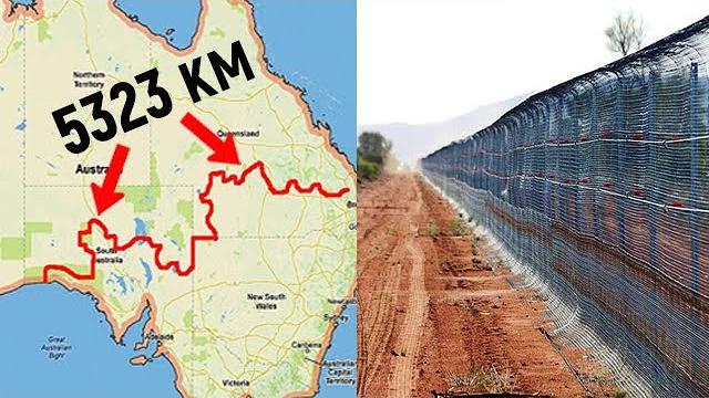 Зачем австралийцы построили самый длинный забор в мире?! Зачем австралийцы построили самый длинный забор в мире?!