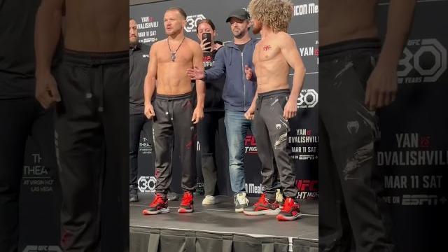 PETR YAN SHOVED MERAB DVALISHVILI AT FACE OFFS PETR YAN SHOVED MERAB DVALISHVILI AT FACE OFFS