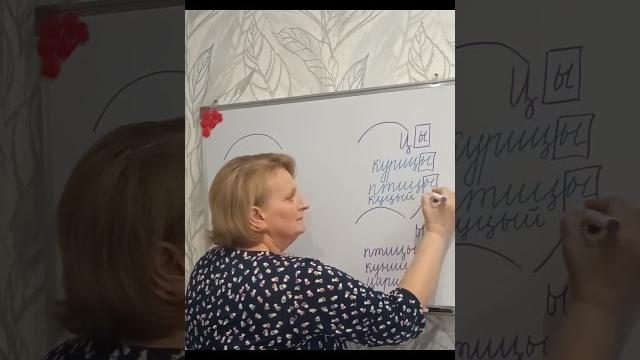 Правописание и, ы после ц Правописание и, ы после ц