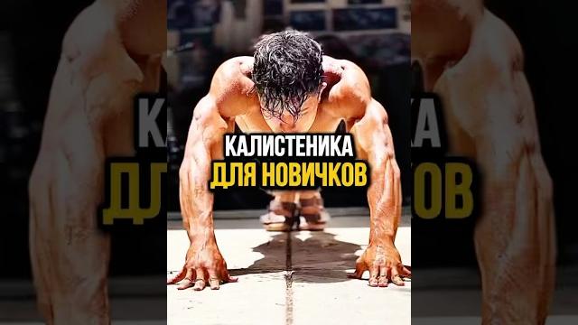 Калистеника для новичков? Калистеника для новичков?