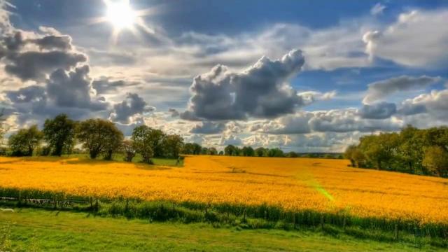 Природа України Природа України