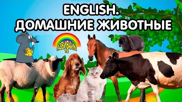 Английский для детей. Домашние животные. English for children. Farm animals. Развивающие мультики. Английский для детей. Домашние животные. English for children. Farm animals. Развивающие мультики.