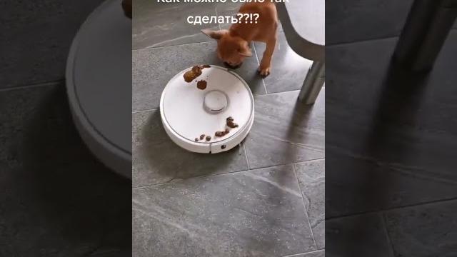 Н@срал на пылесос Н@срал на пылесос