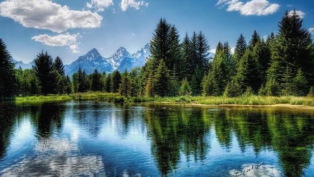 Футаж. Природа. Футаж. Природа.